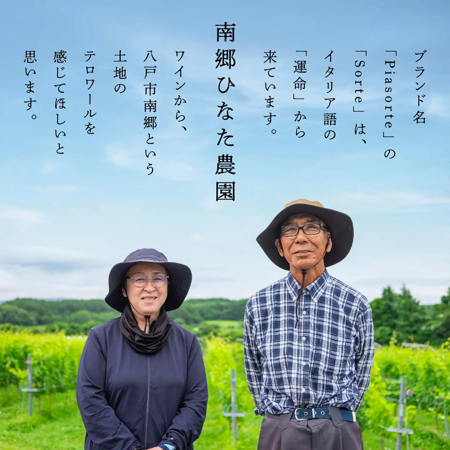 南郷ひなた農園 日本ワイン ピアソルテ メルロー2023 750ml × 1本 青森県 八戸市