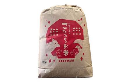 《数量限定》令和7年度産 つきあかり 玄米 20kg 米 お米 新米 ごはん おにぎり 富山 立山 北アルプス 健康志向 JGAP認定 F6T-846