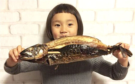 鯖 【郷土料理】焼さば 4本 [AICG005] 鯖