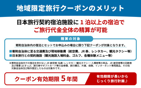 福井県坂井市 日本旅行 地域限定旅行クーポン 60,000円分 【旅行 観光 宿泊 券 トラベルクーポン クーポン券 福井県 坂井市】 [O-22001]