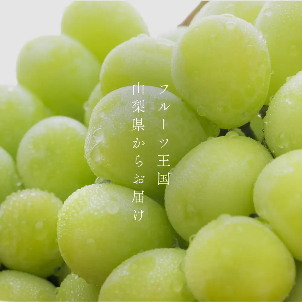 シャインマスカット 【2026年発送】山梨県産 シャインマスカット2～3房 (1.2kg以上)  フルーツ