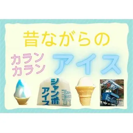 よくばりアイスセット【ケースアイス×5種類・コーン×50個・盛り付け用ヘラ付き】【配送不可地域：離島】【1657753】