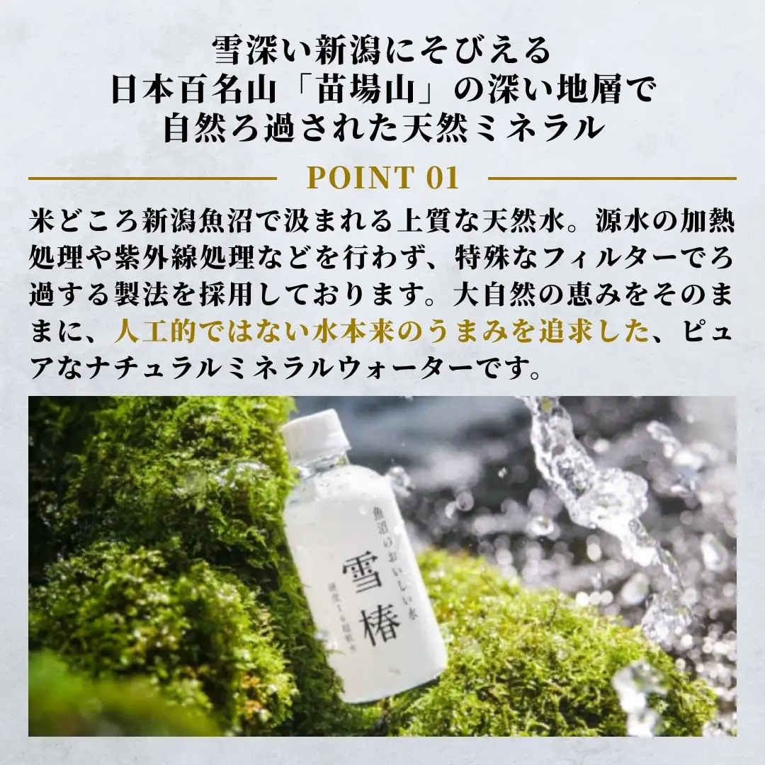 天然水 雪椿 2L×6本 12ヶ月定期便|津南町 天然水