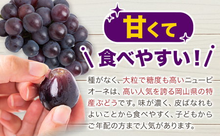 ご家庭用 岡山県産 ニューピオーネ 1.2kg 2-3房【配送不可地域あり】