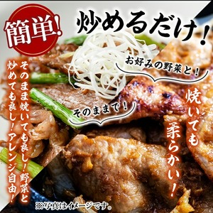 九州産豚ロース(生姜焼き・味噌漬け/各100g×3P 計6P 600g) 国産 九州産 豚 豚肉 生姜焼き 味噌漬け 味付け 肉 味付け肉 簡単 焼くだけ 小分け 冷凍 おかず お弁当 a0-376