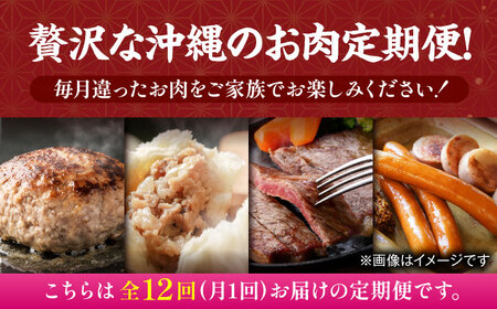 【全12回定期便】家族で満喫！沖縄のお肉贅沢セット【沖縄市】ハンバーグ あぐー 石垣牛 ステーキ 焼肉 冷凍 ギフト お取り寄せ 沖縄市 / お肉屋本店 / 豚々茶舗 / TESIO / 肉のサブロー[BCZZ035]