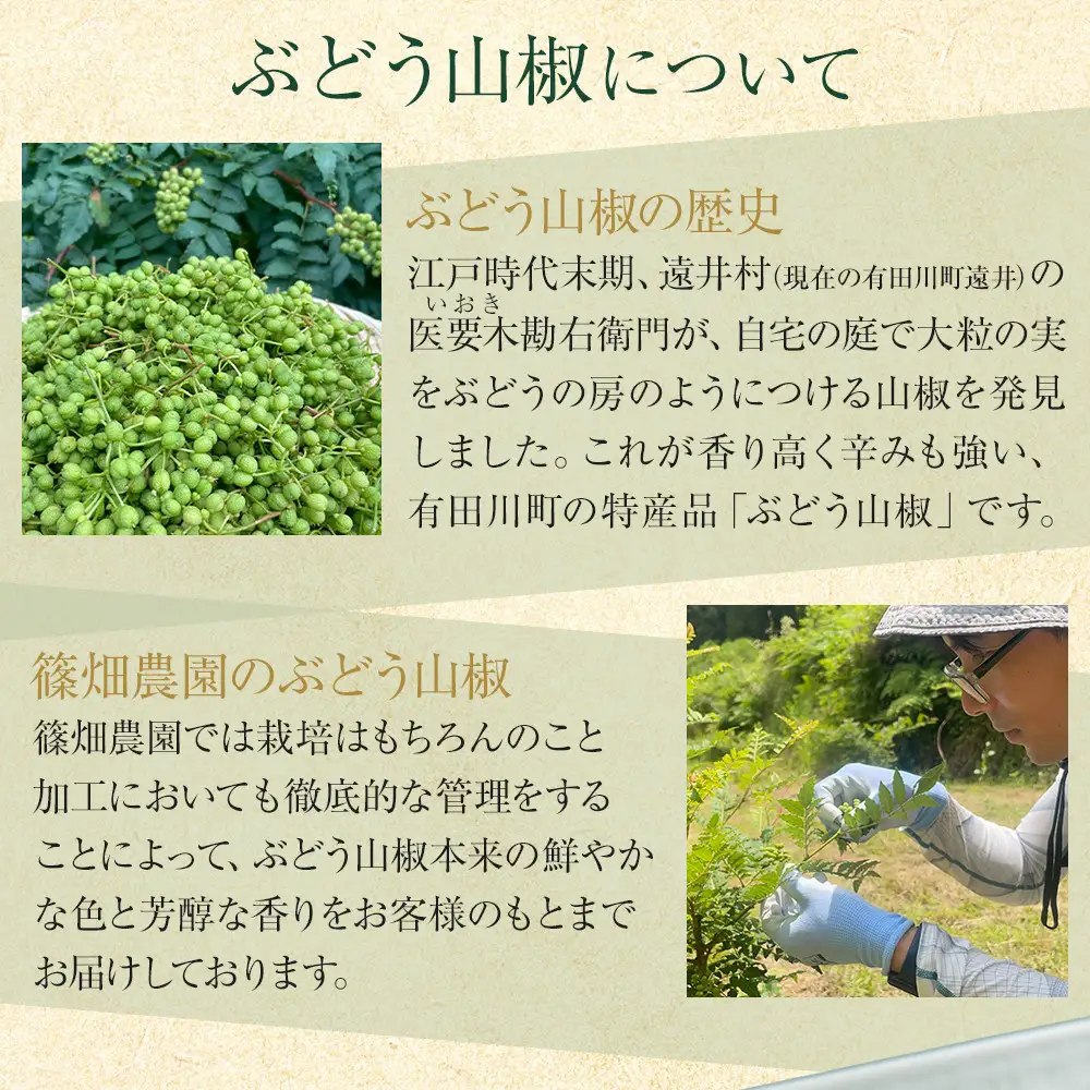 紀州ぶどう山椒【粒】 5袋  (合計40g) 篠畑農園