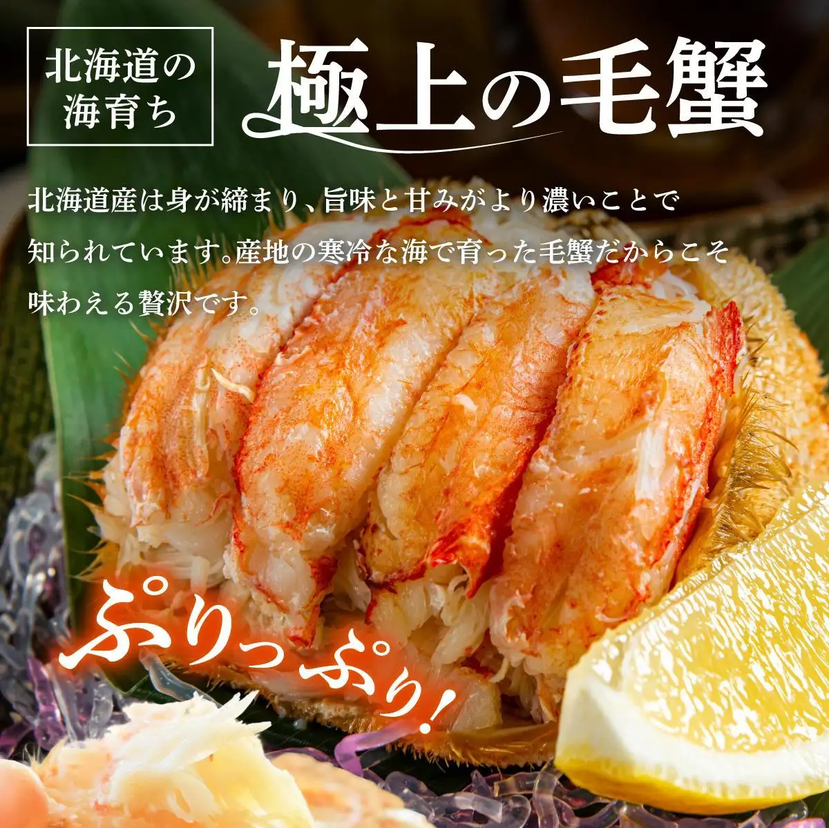 毛ガニ（姿身）Sサイズ 2尾 ogm-014