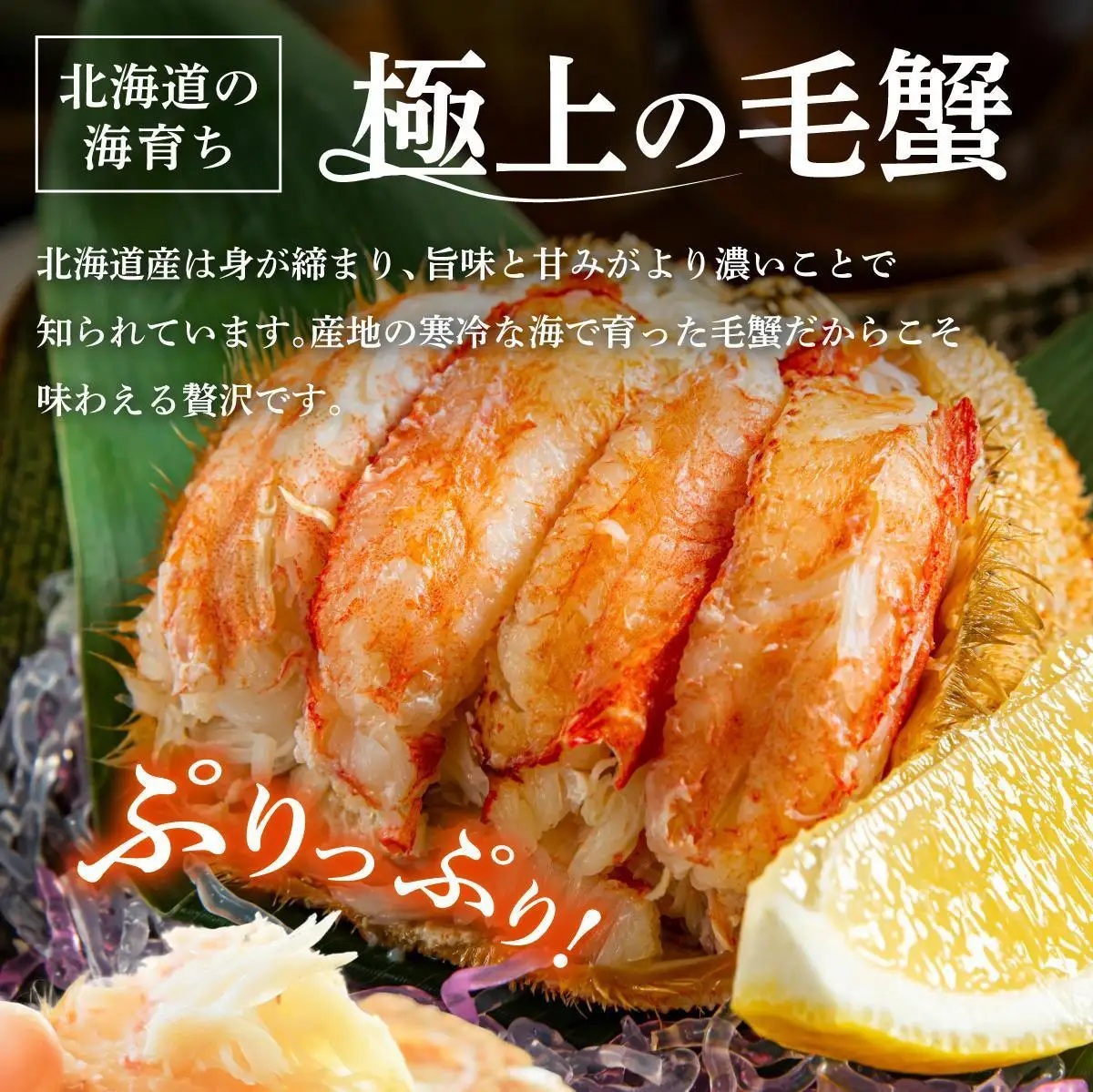 毛ガニ（姿身）Mサイズ 2尾 ogm-016