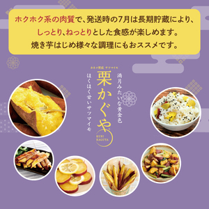 【2027年7月より順次発送】希少な新品種！７月限定「行方の黄福(栗かぐや)」さつまいも 約5kg｜さつまいも サツマイモ さつま芋 お芋 希少 新品種 栗かぐや 先行予約 茨城県 行方市(AE-88)