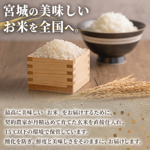 ≪令和7年産≫ 登米市産 ササニシキ 10kg(5kg×2袋) 冷蔵米 お米 おこめ 米 コメ 白米 ご飯 ごはん おにぎり お弁当 佐沼交通株式会社【楽らく館】tm476