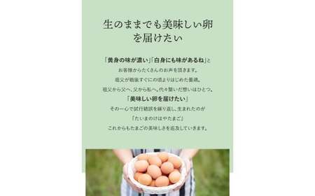 たいまのけはやたまご　120個入り　／たまご　生卵　奈良県　葛城市【tegg005】