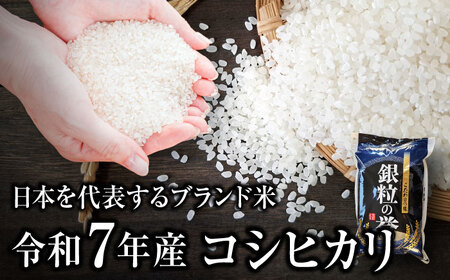こしひかり 5kg 白米 最短3日 スピード発送 令和7年産 アグリ君田 [APDC001] コシヒカリ