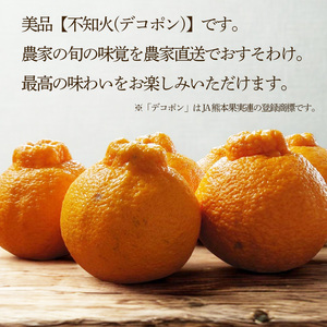 【2027年3月上旬頃から順次発送】  不知火(デコポンと同一品種) 美品 約 2.5kg | 不知火(デコポンと同一品種) 美品 約 2.5kg |みかん ミカン 柑橘 蜜柑 果物 くだもの フルーツ おすすめ 人気 お取り寄せ グルメ ギフト 期間限定 数量限定 ご当地 愛媛県 松山市 蓮果園【RNK022】