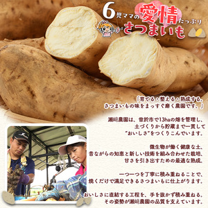 ＜先行予約受付中！2026年8月以降順次発送予定！＞鹿児島県 曽於市産 新物 黄金千貫 (5kg) 【瀬崎農園】 A940-v01