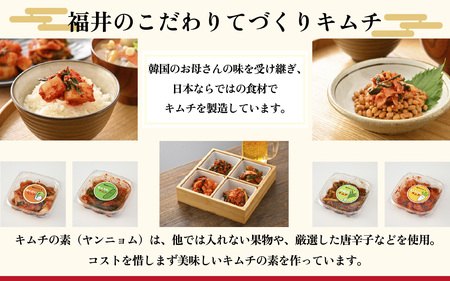 リピーター続出！定番キムチ 詰め合わせ 4種類 セット [A-177002] / 計1100g 定番 白菜 大根 きゅうり 小ねぎ 本場 韓国 母の味 キムチ 国産 送料無料