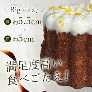 【Bistro gascogne】cannelé（カヌレ）4種16個入り 本場フランス スイーツ お菓子 洋菓子 焼き菓子 ご褒美 瀬戸内 229001