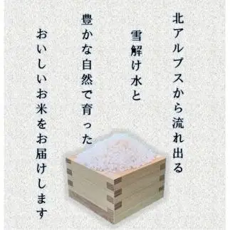 米 無洗米 コシヒカリ 長野県産 10kg |無洗米 コシヒカリ 長野 信州