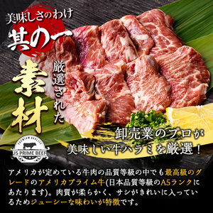 ＜定期便・全6回 (2か月ごとの発送)＞プライム牛 塩ハラミ(総量2.4kg) 定期便 小分け 牛肉 肉 ハラミ 牛はらみ 味付け 焼肉 塩 BBQ 冷凍 大分県 佐伯市【DH322】【ネクサ】