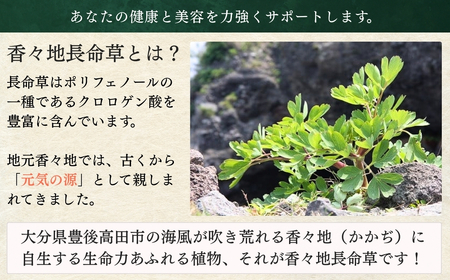 香々地長命草紫ボウフウ茶（5g×10袋入） | 香々地ベジファーム　豊後高田市