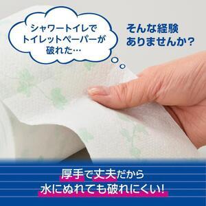 【3カ月定期便】シャワートイレのためにつくった吸水力が2倍の トイレットペーパー 36ロール｜エリエール  ダブル 12ロール 3パック 無香料