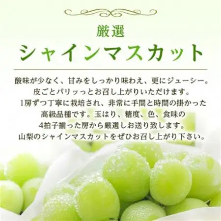 2026年発送　シャインマスカット1房(約500g)【配送不可地域：離島・沖縄県】【1666979】