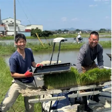 令和7年産 岐阜県羽島市産ハツシモ 玄米30kg(30kg×1袋)【1669152】