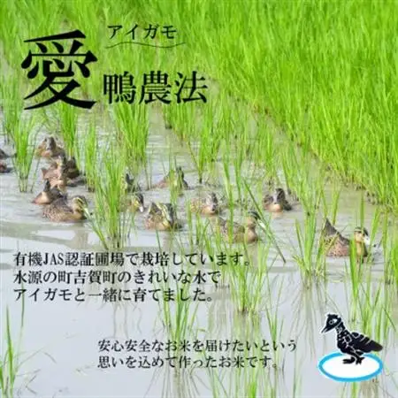 【有機米】令和7年産　吉賀町産つや姫「鴨ん米米」　精米5kg【1668659】