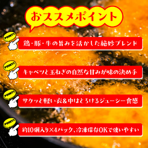 お肉屋さんが作った特製ジューシーメンチカツ　約40個入り（480ｇ（約10個入り）×4ｐ）　AO136