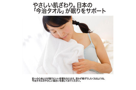 （今治タオルブランド認定）今治バスタオルピロー （バスタオル5枚＋ピローベース） [I002840]