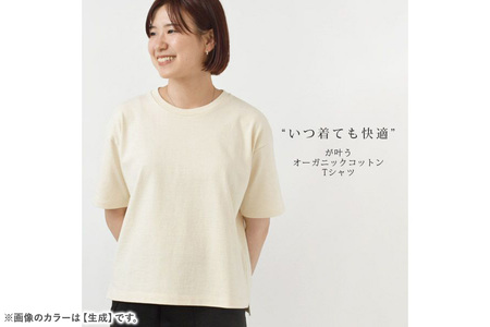 nayuta オーガニックコットン レディース コンパクトTシャツ HW10／1 オフホワイト【M】 秋田県 大仙市
