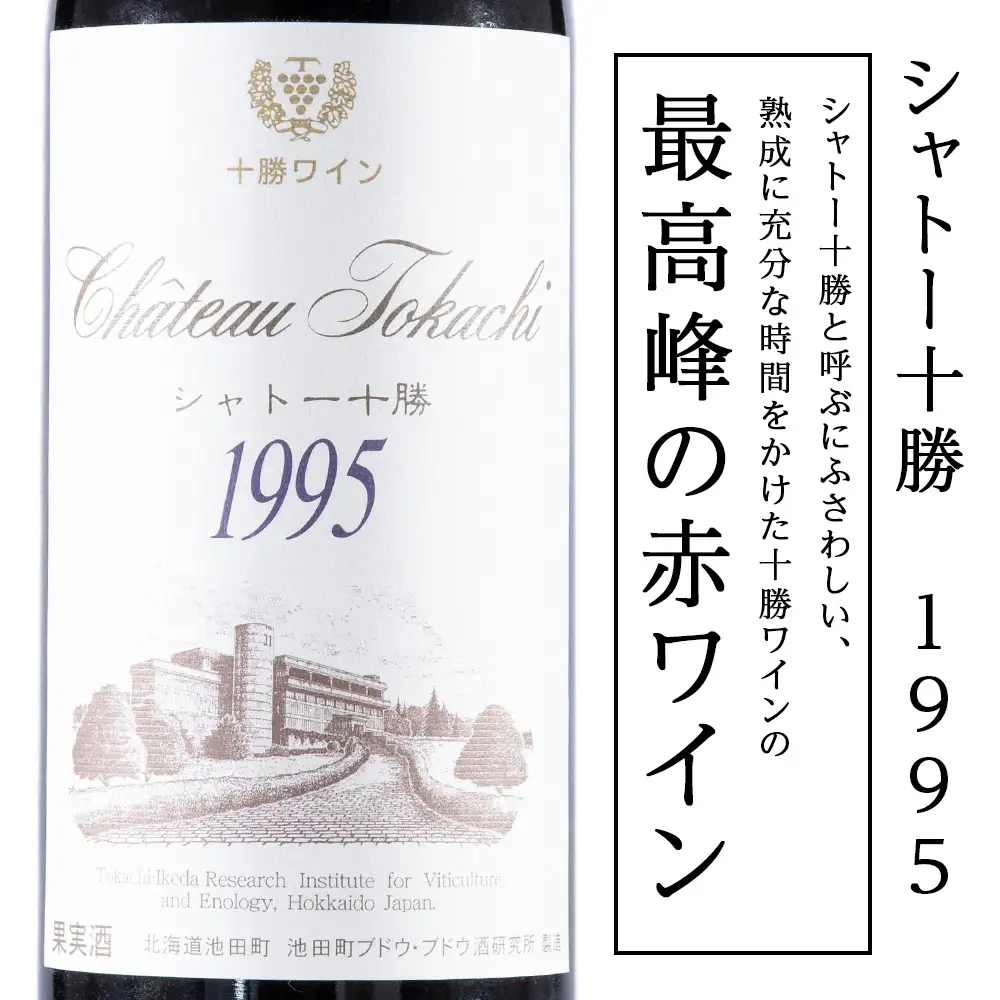 十勝ワイン シャトー十勝 1995年 720ml 北海道池田町 ビンテージ 赤ワイン 数量限定 ヴィンテージ