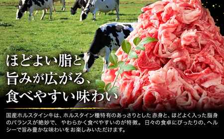 【6ヶ月定期便】牛肉 肉 国産牛 切り落とし ホルスタイン 大容量 小分け 1.2kg(300g×4)