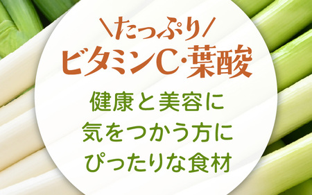 【先行予約】 ビタミンCと葉酸たっぷり「畑のサプリ白ネギ」大容量パック 約300g入 × 15袋 【2026年11月以降順次発送予定】 長ネギ 長ねぎ 葱 長葱 白葱 野菜 [A-2614]