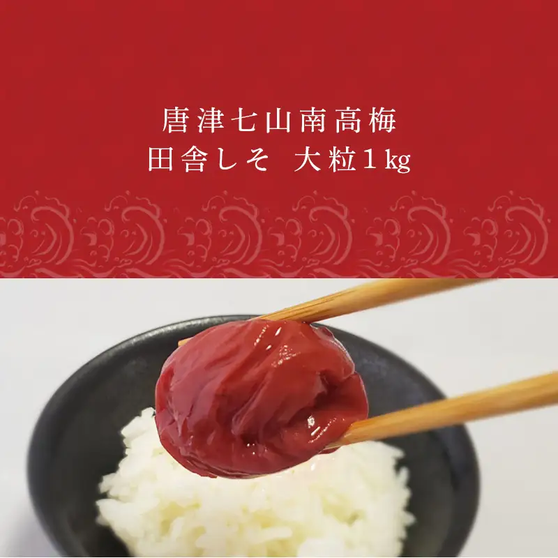 唐津七山 南高梅大粒しそ味 500g×2(合計1kg)「irodoriからつ四季の返礼品」山間から湧き出る澄んだ水をふんだんに含んだ土壌で栽培