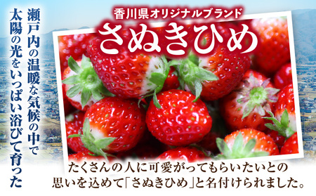 大粒いちご　極甘さぬき姫 約260g | 果物 フルーツ いちご フレッシュ ジューシー 香り 爽やか 春 真っ赤 旬の果物 人気 おすすめ 贈答 贈り物 青果物 糖度 香川県 三木町 |_mk165-015