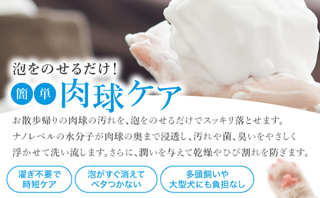arfoam（ｱﾙﾌｫｰﾑ）300ml