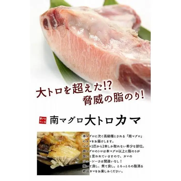 南マグロ大トロカマ1kg | 加熱用 冷凍 塩焼き 煮付け まぐろ 鮪 マグロ 焼き魚 高級種 希少部位 | DG016-1kg