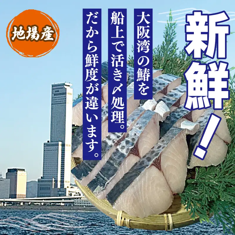 さわら西京漬け 合計850g 小分け 2切れ×5パック