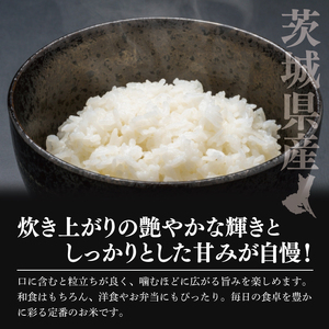 【数量限定】令和7年茨城県産コシヒカリ10kg(NU-2)