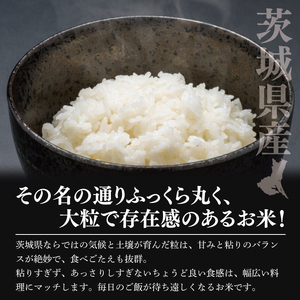 【数量限定】令和7年茨城県産ふくまる5kg(NU-4)