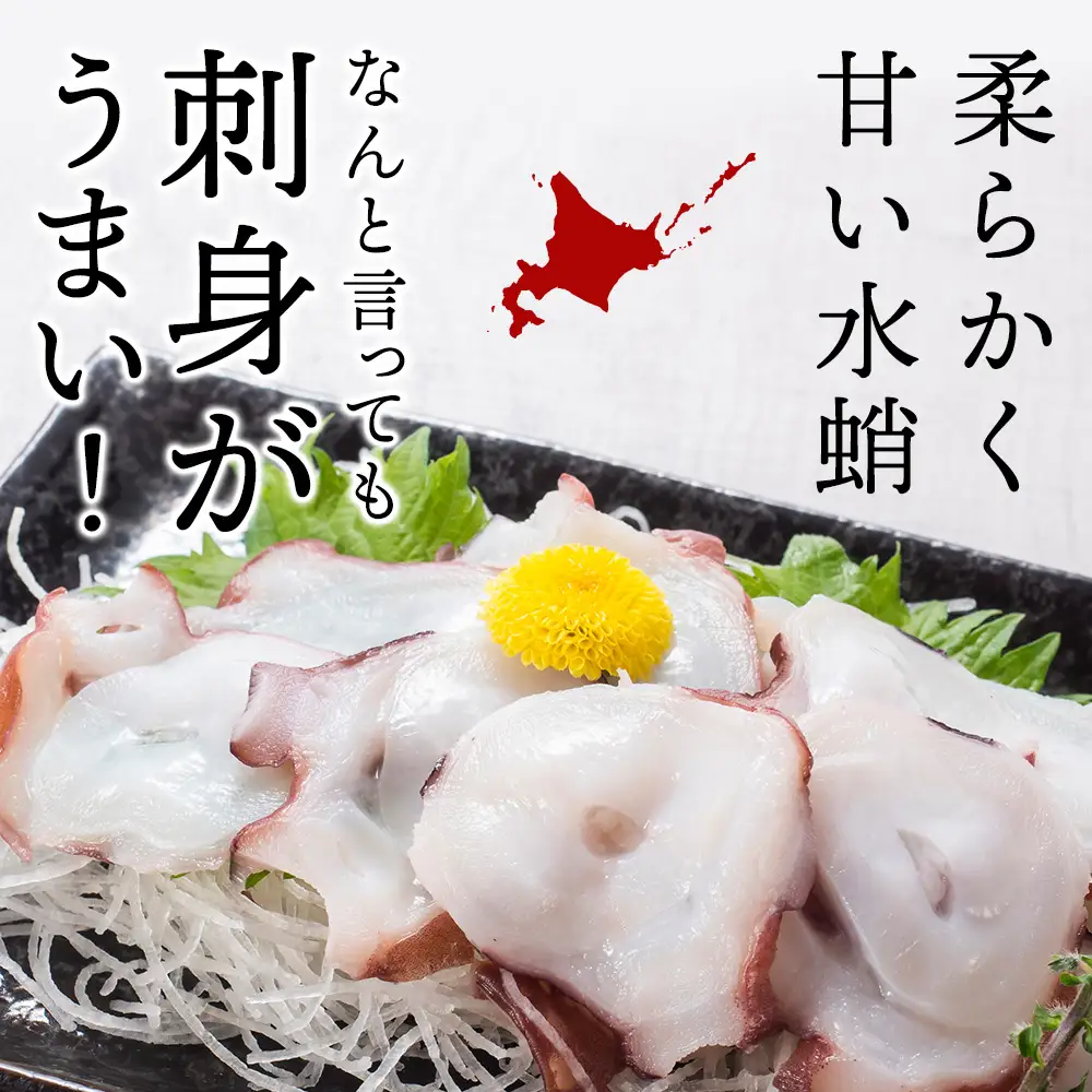 北海道天塩町 煮たこ 足 700ｇ前後＜天塩の國＞