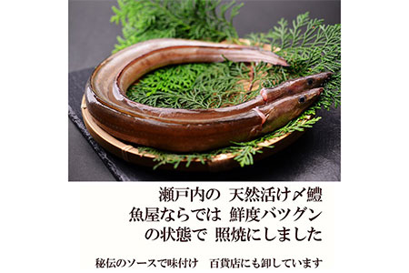  鱧の照り焼き(100g×10切れ)【冷凍】【B-28】