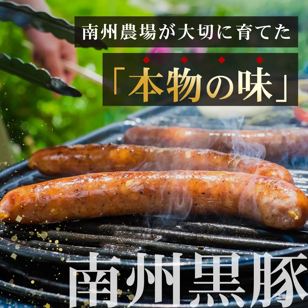 鹿児島県産 BBQ-BOX Ⅱ ハム ソーセージ ベーコン 詰め合わせ セット NS-25 | かごしま 黒豚 生ハム ボロニア ウインナー ソース ジャーキー おつまみ バーベキュー 焼き肉 低添加製法 冷蔵 鹿児島県 南大隅町 南州農場