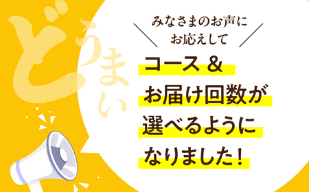 【定期便】どうまい定期便 全3回 お試しコース （ うなぎ 豚肉 サーモン) 