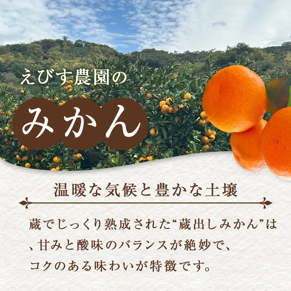 訳あり 蔵出しみかん 約5kg 2S～2Lサイズ混合