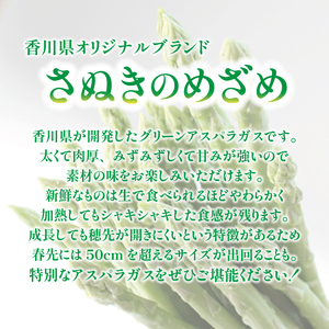 【訳ありアスパラ】 さぬきのめざめ 1kg アスパラ 配送：3月中旬～10月中旬