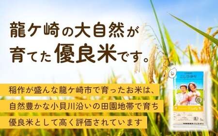 【令和7年度産】横田農場の特別栽培米コシヒカリ 5kg | こしひかり 特別栽培 茨城県 龍ケ崎市