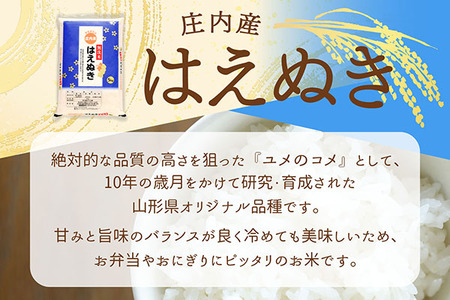 庄内産 はえぬき 無洗米 20kg 5kg×4袋 令和7年産 2025年産 ブランド米 米 国産 単一原料米 山形 庄内平野 コシヒカリの原点、亀の尾発祥の地 庄内