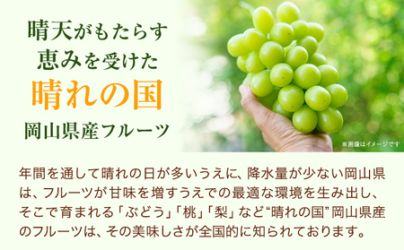 【2026年発送先行予約】桃 シャインマスカット ピオーネ 詰め合わせ 約1.8kg クール便 冷蔵便 桃 もも 葡萄 ブドウ ぶどう マスカット フルーツ セット 先行予約 晴れの国おかやま館 《2026年8月下旬-9月中旬頃出荷》 フルーツ 果物 果実 岡山県 矢掛町